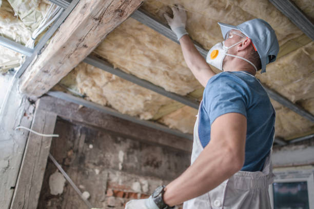 Best Insulation Maintenance and Repair in Inverness, IL